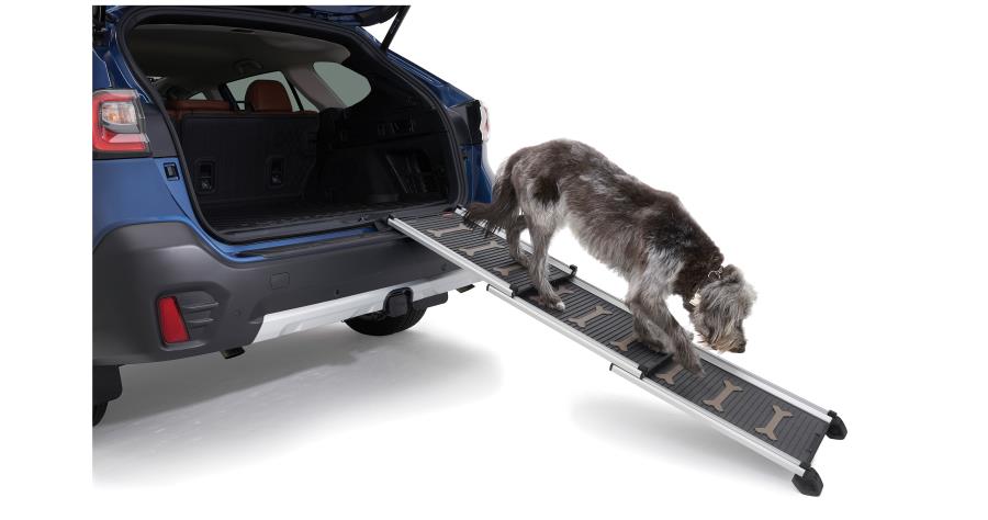 Subaru Racing Ramp Subaru Accessory Pet Ramp: RACCAR Automotive