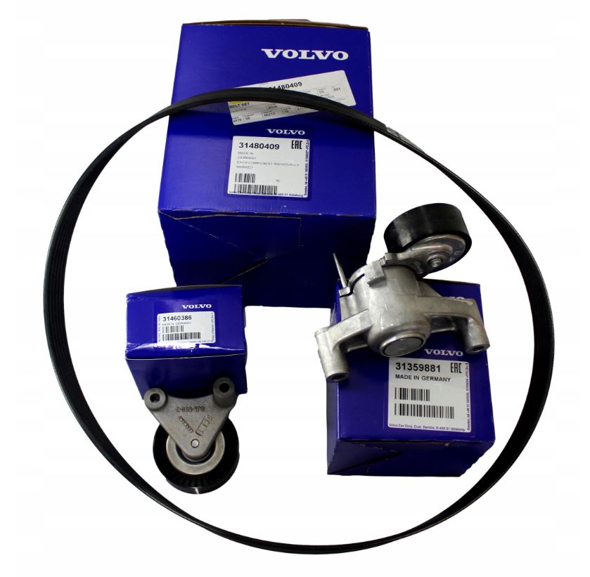 Volvo Genuine Auxiliary Belt Set - 31480409: RACCAR Automotive